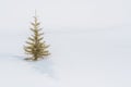 A Lone Tree in the Snow Royalty Free Stock Photo