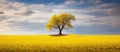 A lone tree standing tall in a vibrant yellow field, under the vast sky Royalty Free Stock Photo