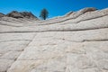 Lone tree standing on top of sandstone hill Royalty Free Stock Photo