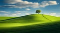Captivating Green Hill With Lone Tree: A Stunning Photograph Of Danish Landscapes Royalty Free Stock Photo