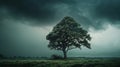 A lone tree stands defiantly in the midst of a storm its branches reaching toward the sky as the winds whip around it Royalty Free Stock Photo