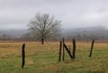 Cades Cove Lone Tree Wood and Wire Fence. Great Smoky Mountains National ParkTennessee.