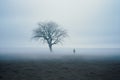 a lone tree stands in a foggy field