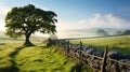 Misty Morning: Stone Wall, Fence, And Lone Tree In English Countryside