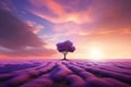 Lone Tree Stands In Mesmerizing Sunset Lavender Field Royalty Free Stock Photo