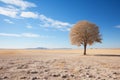 a lone tree stands in the middle of an arid landscape