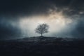 a lone tree stands in the middle of a dark field