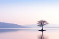 a lone tree stands in the middle of a lake