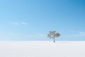 a lone tree stands in the middle of a snow covered field Royalty Free Stock Photo