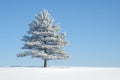 A Lone Tree Stands in the Middle of a Snowy Field, A lone pine tree covered in snow under the clear winter sky, AI Generated Royalty Free Stock Photo