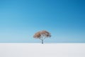 a lone tree stands in the middle of a white field