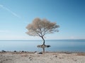 a lone tree stands on a small island in the middle of the ocean Royalty Free Stock Photo