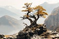 a lone tree stands on top of a mountain