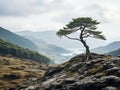 a lone tree stands on top of a rocky hill Royalty Free Stock Photo