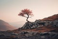 a lone tree stands on top of a rocky hill Royalty Free Stock Photo