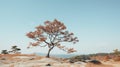 a lone tree stands on top of a rocky hill Royalty Free Stock Photo