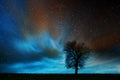 Lone tree in starry night Royalty Free Stock Photo