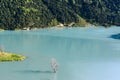 A lone tree sticks out of the water in the Zaramag reservoir. Mountains of the North Caucasus. Hot summer day. Republic of North