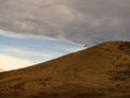 Lone Tree with Storm Clouds Royalty Free Stock Photo