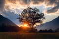 Lone tree at sunset in the mountains Royalty Free Stock Photo