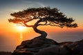 a lone tree on top of a cliff at sunset Royalty Free Stock Photo