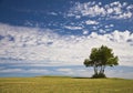 Lone Tree On Top Of Hill Royalty Free Stock Photo