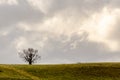 Lone tree in the top of the hill with dramatic sky Royalty Free Stock Photo