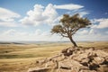 a lone tree on top of a rocky hill Royalty Free Stock Photo