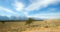 Lone Tree under cloudscape in front Grand Teton Peaks in Wyoming Royalty Free Stock Photo