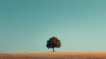 Lone tree in a vast field under a clear sky. Photograph for design and print. Solitude and nature concept with copy Royalty Free Stock Photo