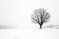 Lone Tree in Winter Blizzard