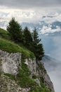 Lone Trees on a Rock