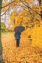 A lone unknown man with a black umbrella sad walking in the Park in the autumn rain. Royalty Free Stock Photo