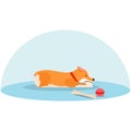 Lone Welsh Corgi is sad without an owner. Sick puppy. Royalty Free Stock Photo