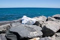 Lone White Rock on the Breakwater