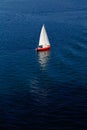 A lone white sail on a calm blue sea Royalty Free Stock Photo