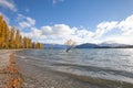 Lone willow tree at lake wanaka new zealand Royalty Free Stock Photo