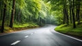 Lone winding asphalt road in perspective in the middle of a green forest