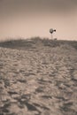 Lone windmill on West Texas desert