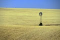 Lone Windmill in wheat field, Eastern Washington