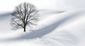 Lone winter tree stands serenely in a snow covered landscape casting long shadows on the pristine white surface Royalty Free Stock Photo