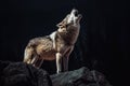 A lone wolf howling at the full moon during midnight. Generative AI Royalty Free Stock Photo