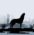 Lone wolf howls in swamp in fog among reeds. Silhouette picture. Wild animal in nature. Predator in natural conditions