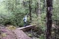 The nature trail in the beech forest of Craigieburn Forest Park in the South Island of New Zealand. Royalty Free Stock Photo