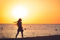 Lone woman walking along sea beach at sunset Royalty Free Stock Photo