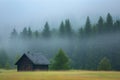 lone wooden cabin in a pine forest, morning fog Royalty Free Stock Photo