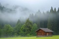 lone wooden cabin in a pine forest, morning fog Royalty Free Stock Photo