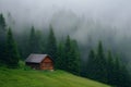 lone wooden cabin in a pine forest, morning fog Royalty Free Stock Photo