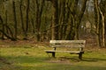 Lonely bench on the forest edge Royalty Free Stock Photo