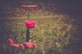 Loneliness concept alone solitude sad abstract scooter in a park on summer day. Preschooler riding a roller. Kids play outdoors wi Royalty Free Stock Photo